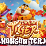 Fortune Tiger Gampang Maxwin
